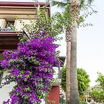 Portakal 3* Dalyan