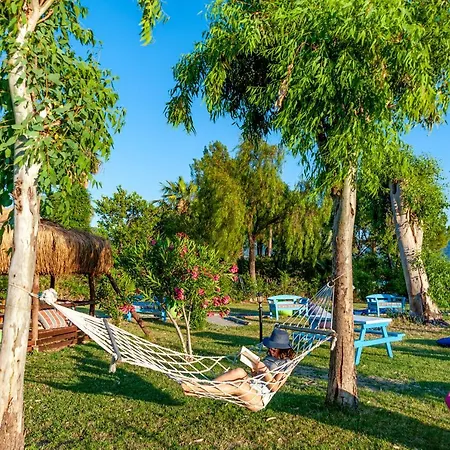 Portakal Hotell