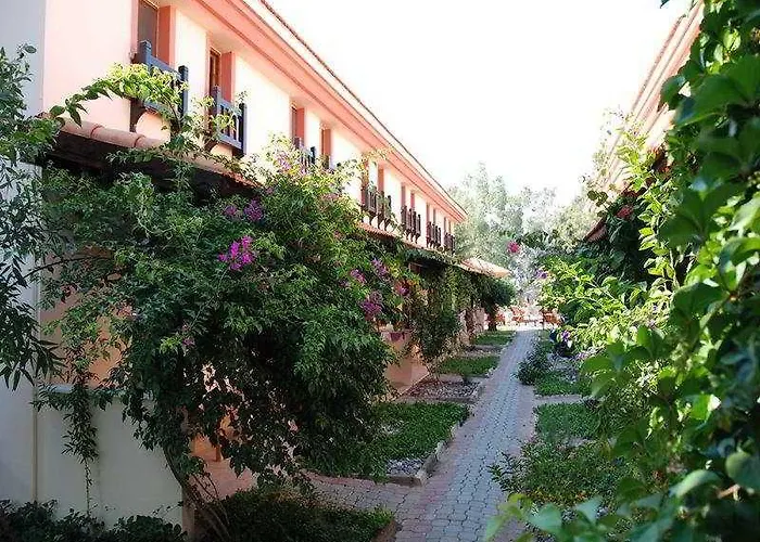 Portakal Dalyan