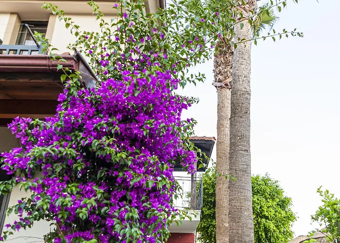 Portakal 3* דליאן